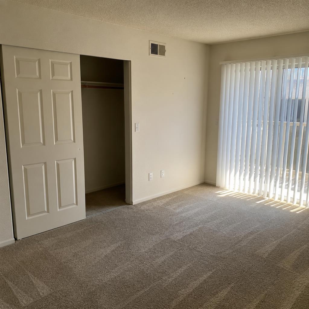 Apartment Cleanouts